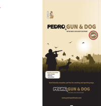 Gun & Dog