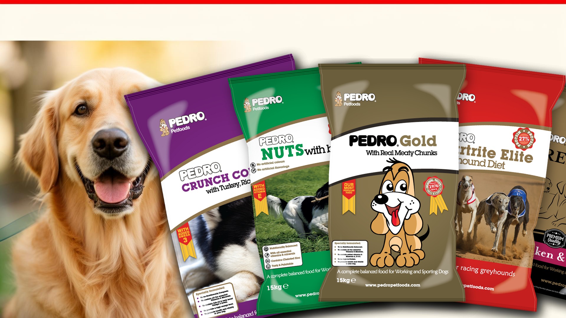 Happy dog and cat — Pedro Pet Foods
